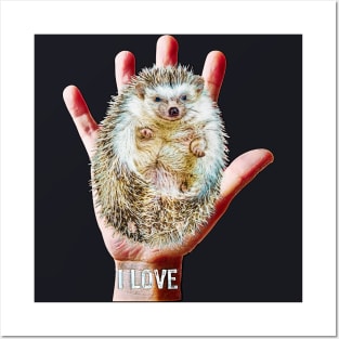 Hedgehog hand sweet trend Posters and Art